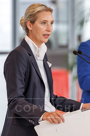03.06.25_pressefoto-gora_0132