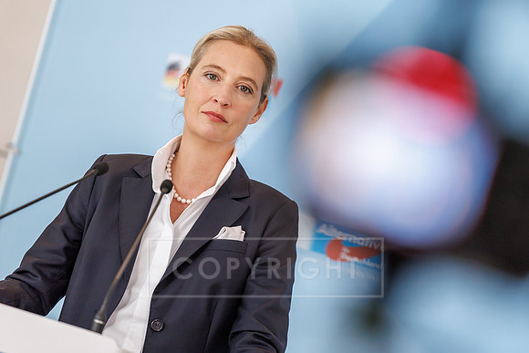 03.06.25_pressefoto-gora_0127