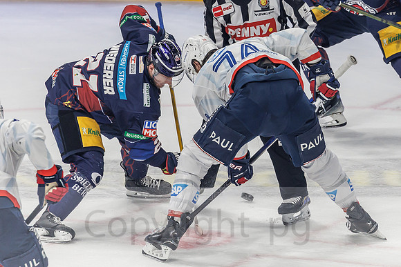 01.04.25_pressefoto-gora_0092