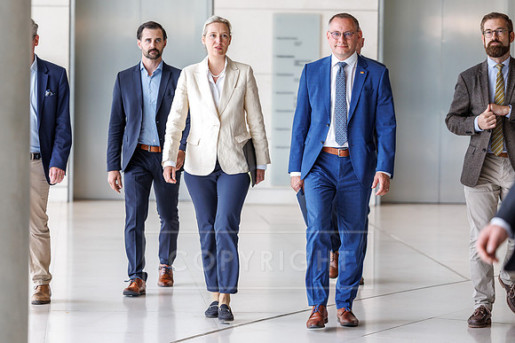 07.07.25_pressefoto-gora_0323