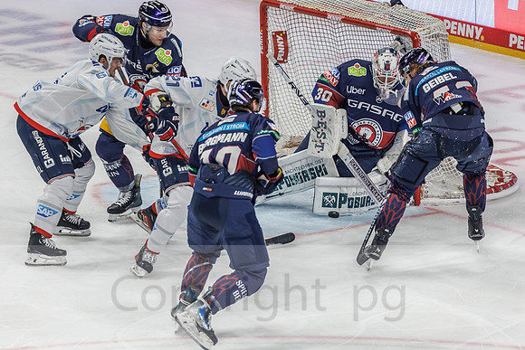 01.04.25_pressefoto-gora_0062