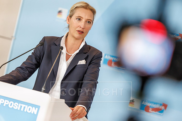 03.06.25_pressefoto-gora_0137