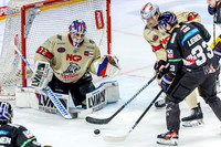 2.02.25 Eisbären - Nürnberg