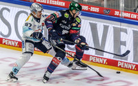 09.09.25_pressefoto-gora_0440