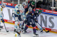 09.09.25_pressefoto-gora_0441