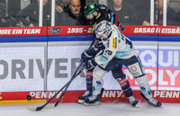 09.09.25_pressefoto-gora_0430