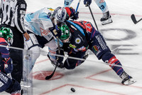 9.9.25 Eisbären vs Dresden