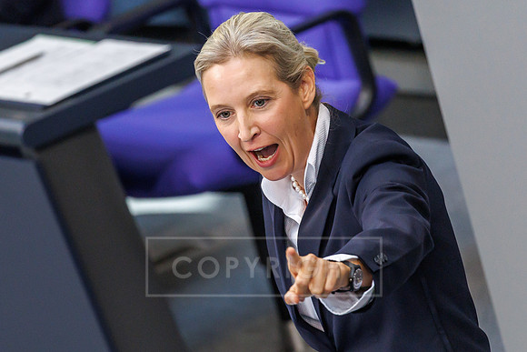 24.09.25_pressefoto-gora_0053