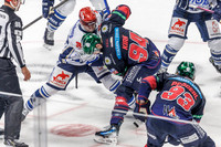 28.09.25_pressefoto-gora_0018