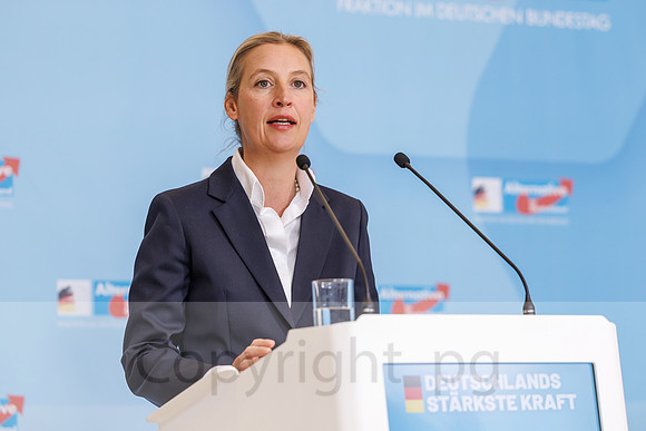 07.10.25_pressefoto-gora_0139