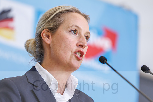 07.10.25_pressefoto-gora_0145