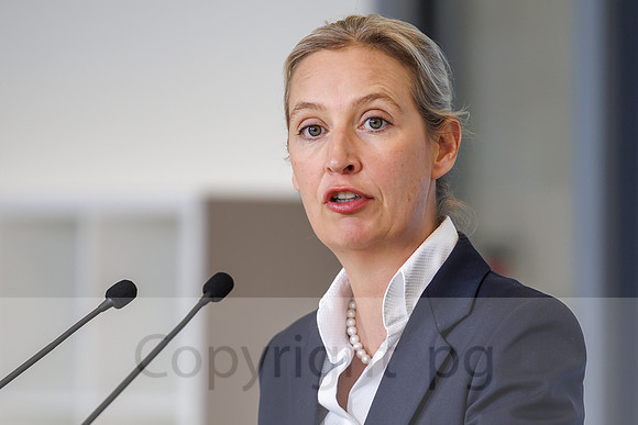 07.10.25_pressefoto-gora_0148