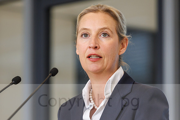 07.10.25_pressefoto-gora_0153