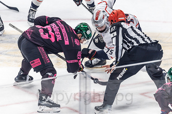 12.10.25_pressefoto-gora_0006