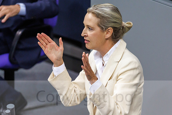 16.10.25_pressefoto-gora_0023