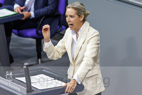 16.10.25_pressefoto-gora_0029