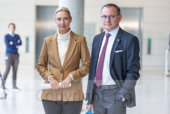 04.11.25_pressefoto-gora_0412