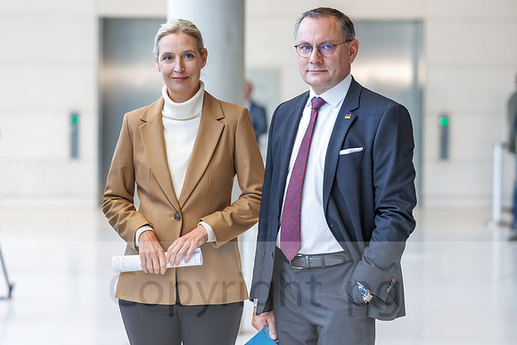 04.11.25_pressefoto-gora_0422