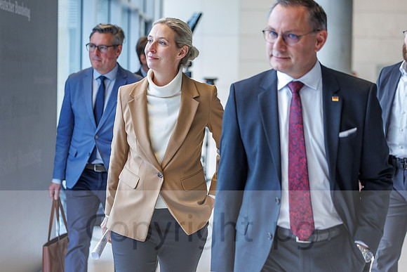 04.11.25_pressefoto-gora_0447