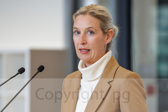 04.11.25_pressefoto-gora_0588