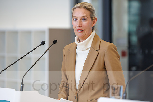 04.11.25_pressefoto-gora_0581