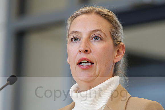 04.11.25_pressefoto-gora_0609