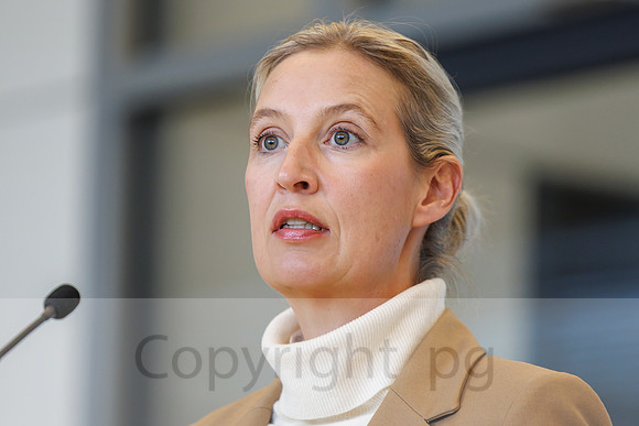 04.11.25_pressefoto-gora_0633