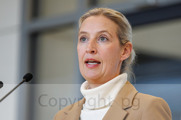 04.11.25_pressefoto-gora_0619