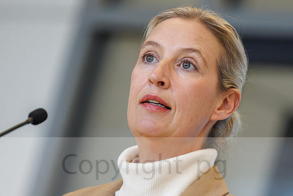 04.11.25_pressefoto-gora_0639