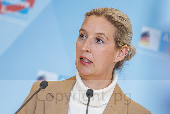 04.11.25_pressefoto-gora_0650