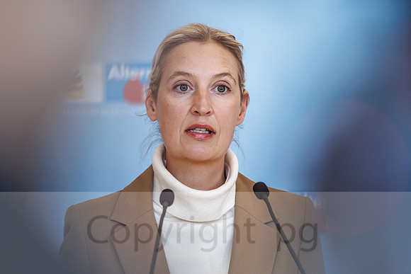 04.11.25_pressefoto-gora_0669