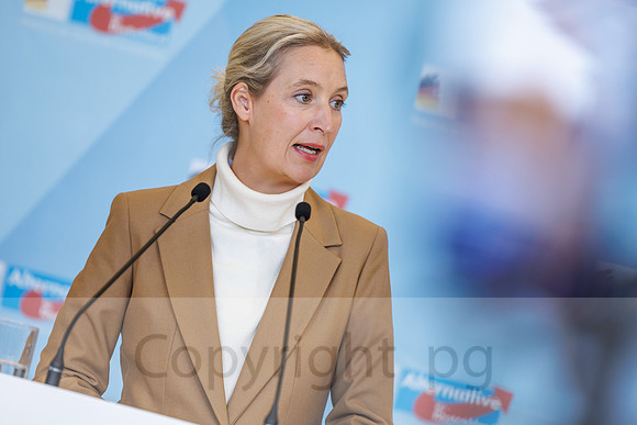 04.11.25_pressefoto-gora_0644