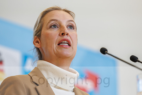 04.11.25_pressefoto-gora_0684