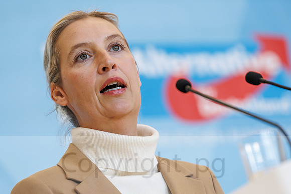 04.11.25_pressefoto-gora_0700