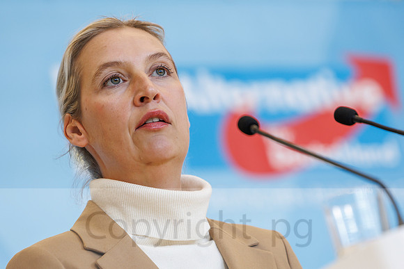 04.11.25_pressefoto-gora_0715