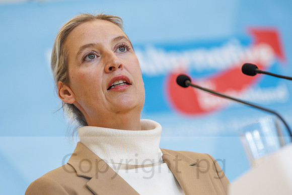 04.11.25_pressefoto-gora_0718