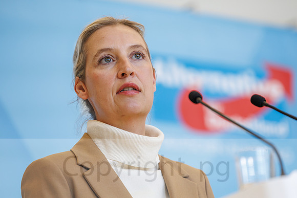 04.11.25_pressefoto-gora_0734