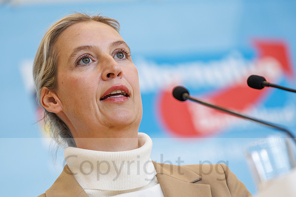 04.11.25_pressefoto-gora_0752