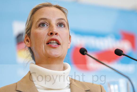 04.11.25_pressefoto-gora_0761