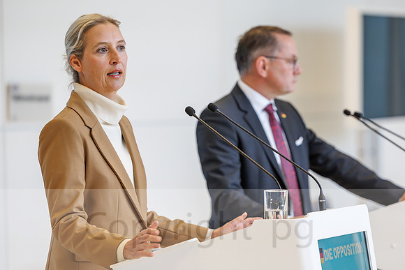 04.11.25_pressefoto-gora_0777