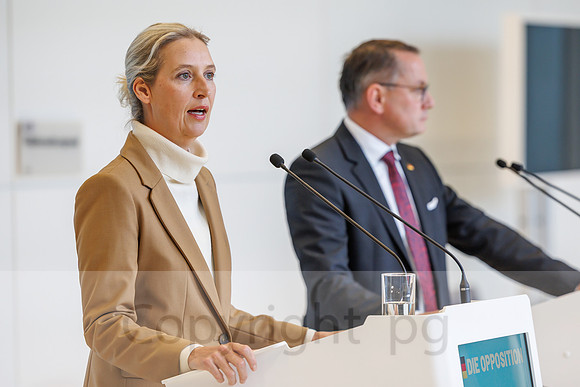 04.11.25_pressefoto-gora_0789