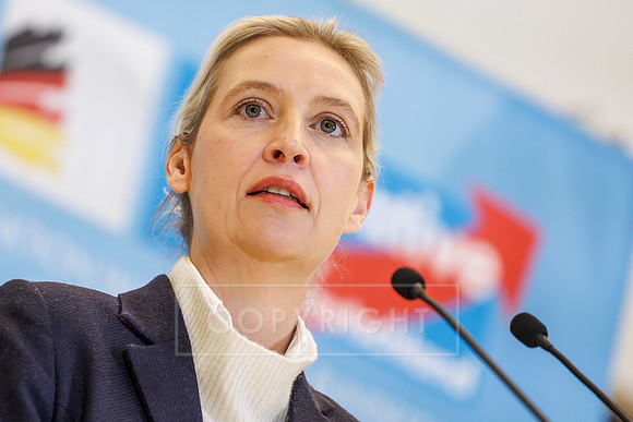 24.11.25_pressefoto-gora_0106