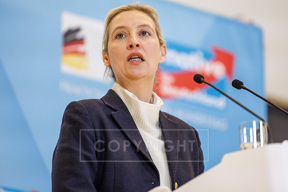 24.11.25_pressefoto-gora_0103