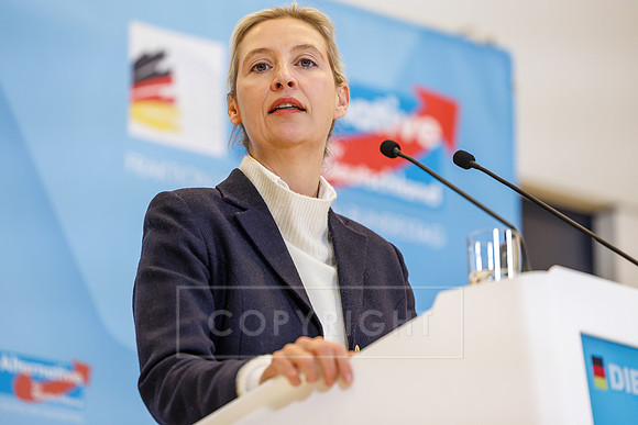 24.11.25_pressefoto-gora_0108