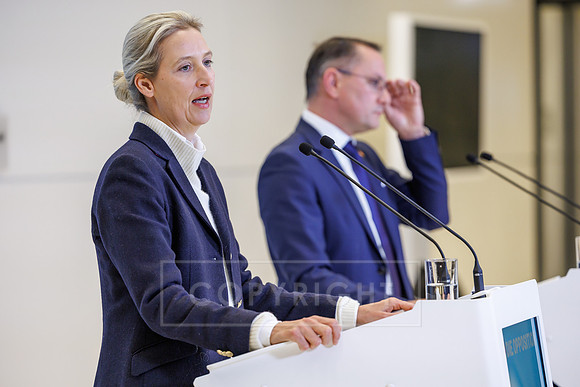 24.11.25_pressefoto-gora_0110