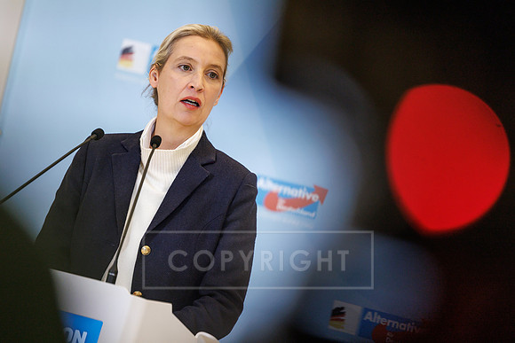 24.11.25_pressefoto-gora_0114