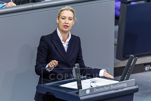26.11.25_pressefoto-gora_0185