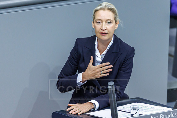 26.11.25_pressefoto-gora_0188