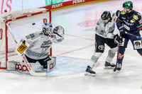 30.11.25 Eisbaeren Berlin gegen  Kölner Haie