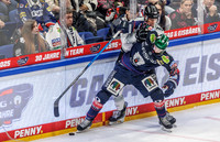 30.11.25_pressefoto-gora_1582